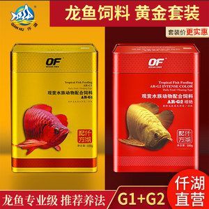 戰船魚和金龍魚混養可以嗎：戰船和金龍魚混養可以嗎怎么養戰船和金龍魚混養可以嗎