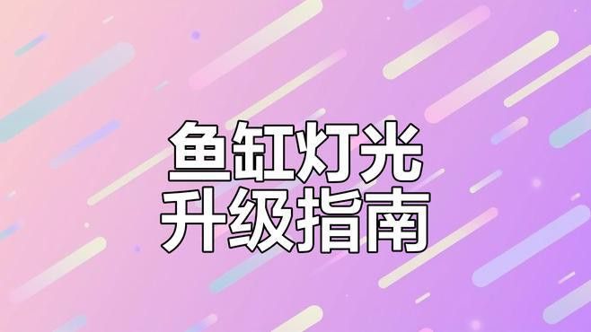 藍(lán)底過背金龍的光照系統(tǒng)如何設(shè)置