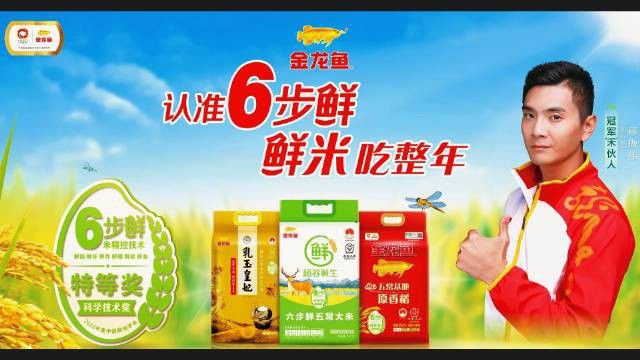 金龍魚稻花香有幾種規(guī)格？