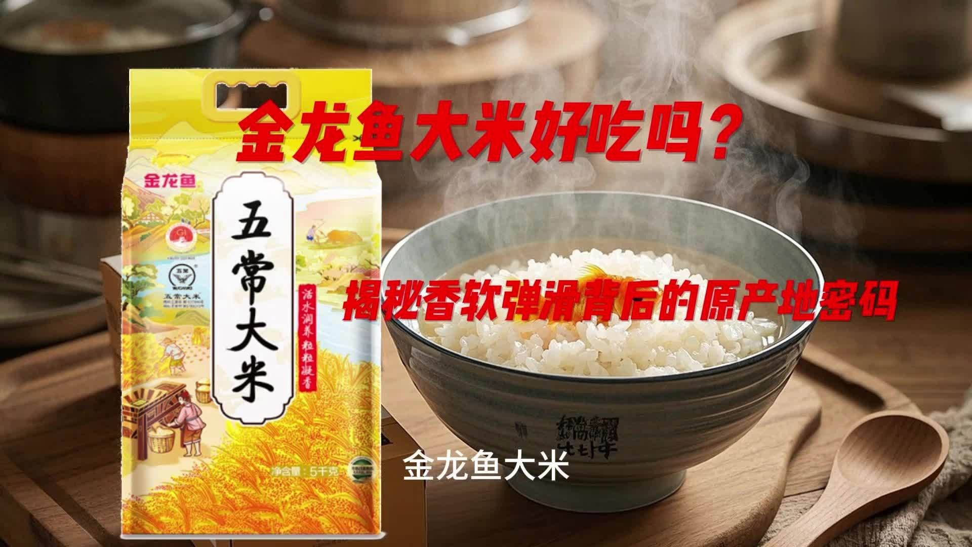 金龍魚稻花香有幾種規(guī)格？