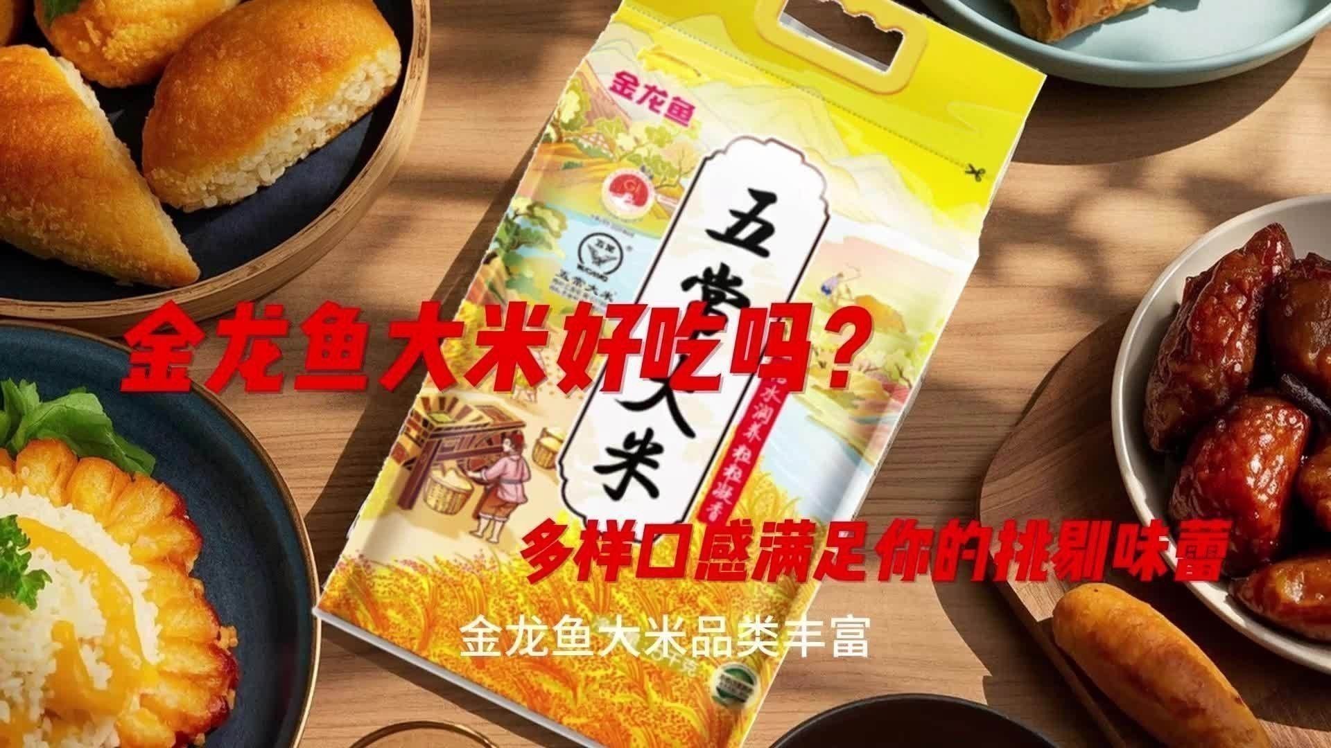 金龍魚稻花香有幾種規(guī)格？