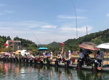 金龍魚大獎賽怎么參加 金龍魚大獎賽怎么參加 龍魚百科 第4張