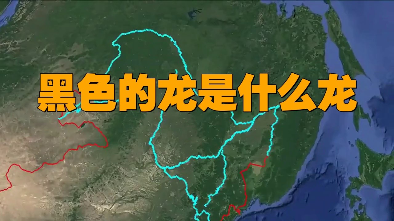 黑色龍在不同文化中的共同特征 黑色龍在不同文化中的共同特征 龍魚百科