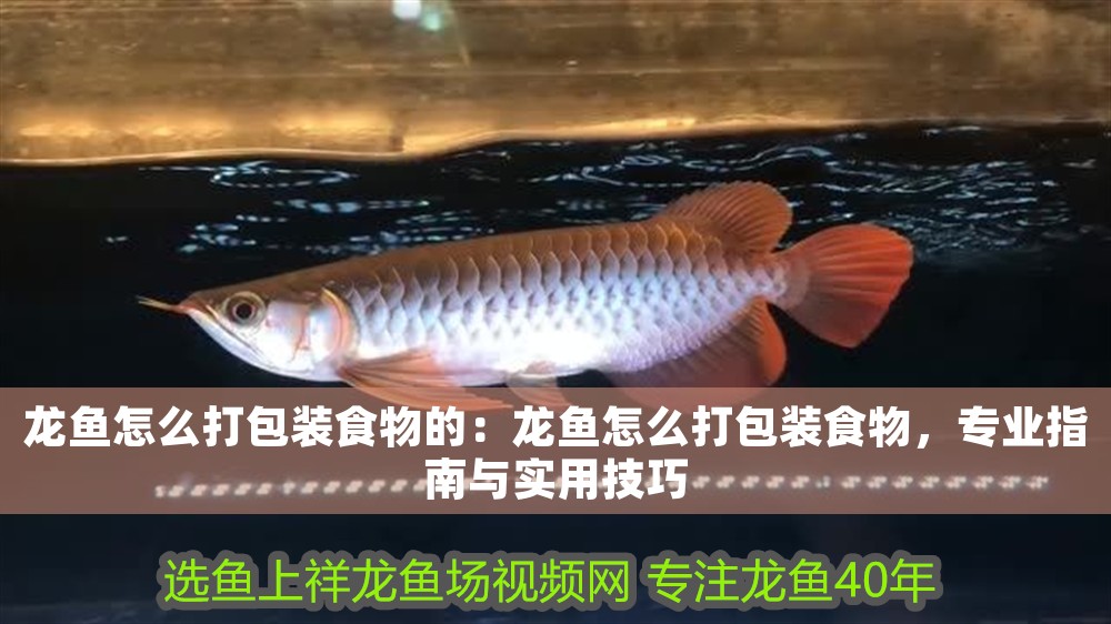 龍魚怎么打包裝食物的：龍魚怎么打包裝食物，專業(yè)指南與實用技巧