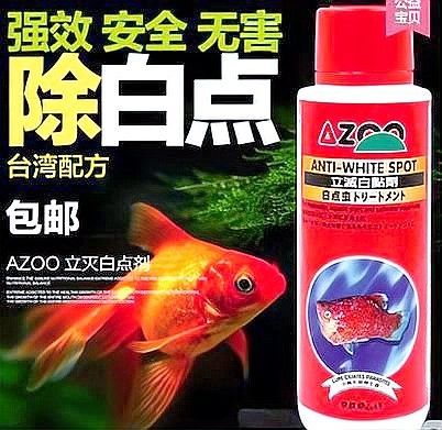 龍魚白點病期間需要換水嗎？