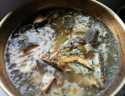龍魚湯怎么做：龍魚湯的制作方法有很多種，以下是幾種不同的做法，注意事項