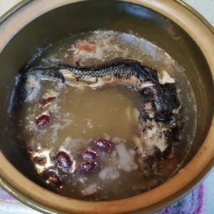 龍魚湯怎么做：龍魚湯的制作方法有很多種，以下是幾種不同的做法，注意事項