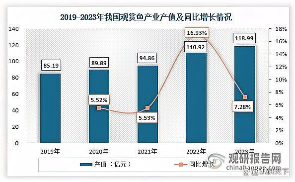 觀賞魚市場行情