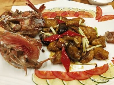 紅龍魚的營養價值及功效與作用（紅龍魚與普通魚類比較，紅龍魚的烹飪方法有哪些）