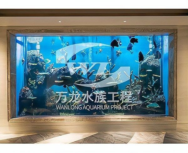 龍魚魚缸最小尺寸是多少