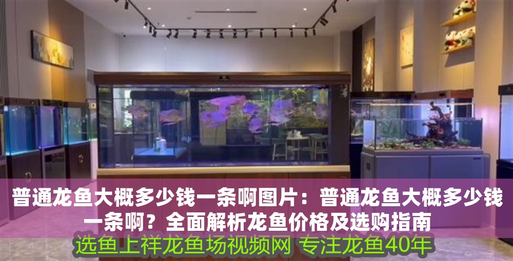 普通龍魚大概多少錢一條啊圖片：普通龍魚大概多少錢一條??？全面解析龍魚價格及選購指南