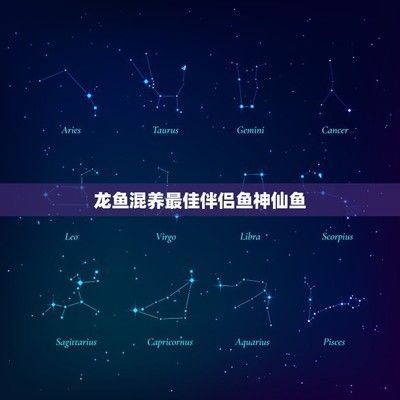 龍魚混養(yǎng)最佳伴侶魚能繁殖嗎：如何判斷龍魚混養(yǎng)伴侶魚的適應(yīng)性