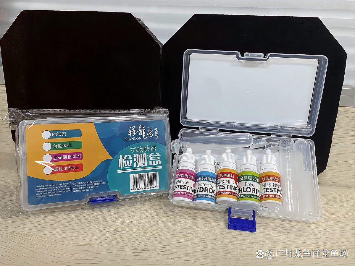 印尼紅龍魚養殖方法圖解