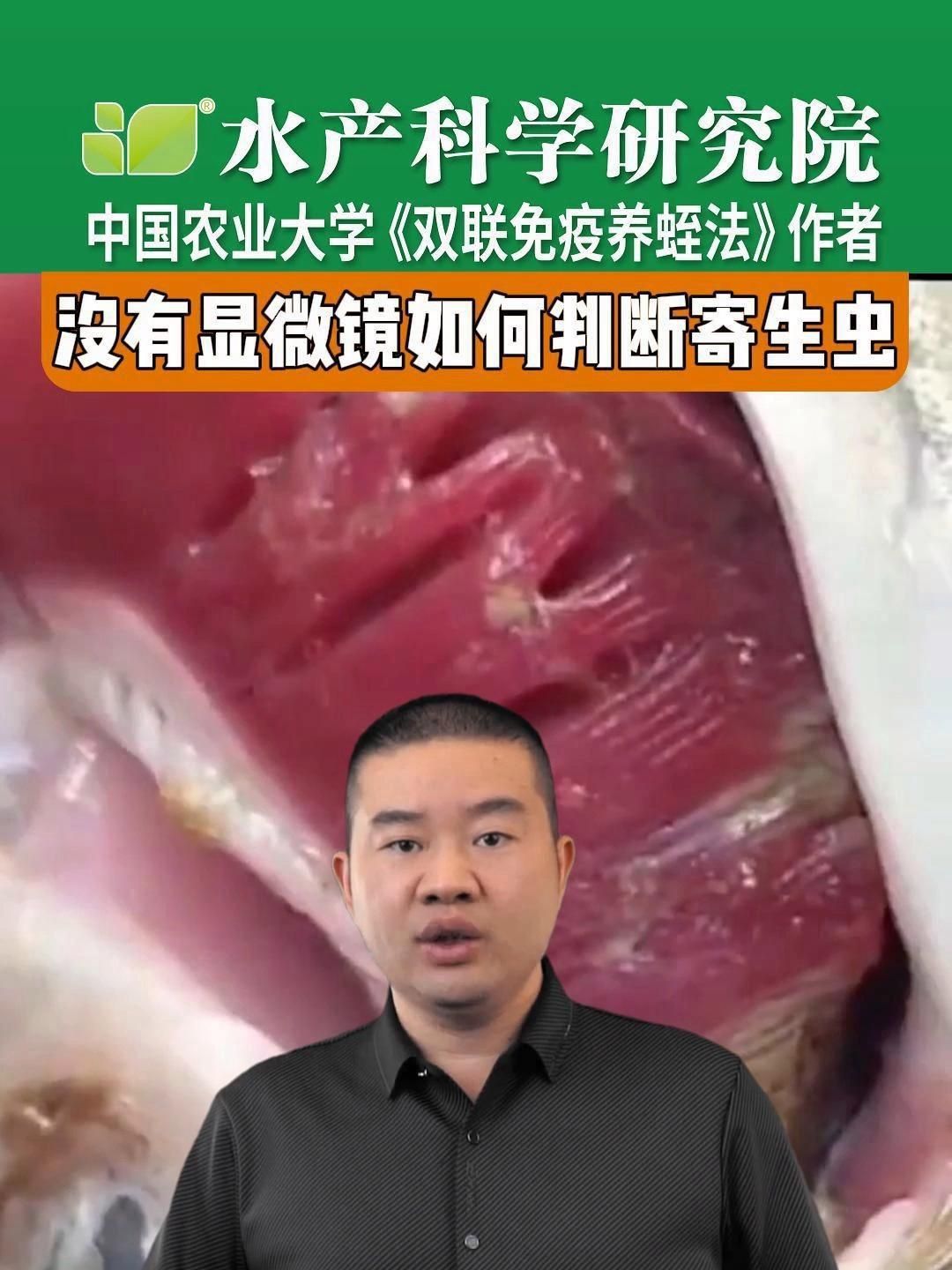 如何判斷魚是否感染了寄生蟲？