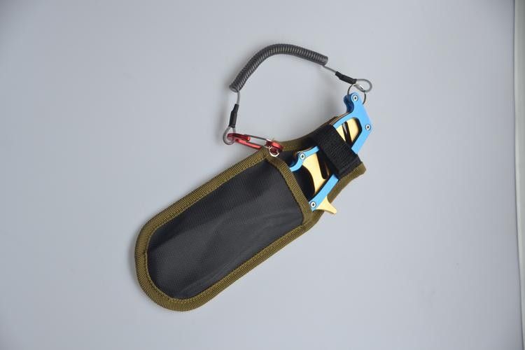 銀龍魚掉眼手術(shù)教程圖解