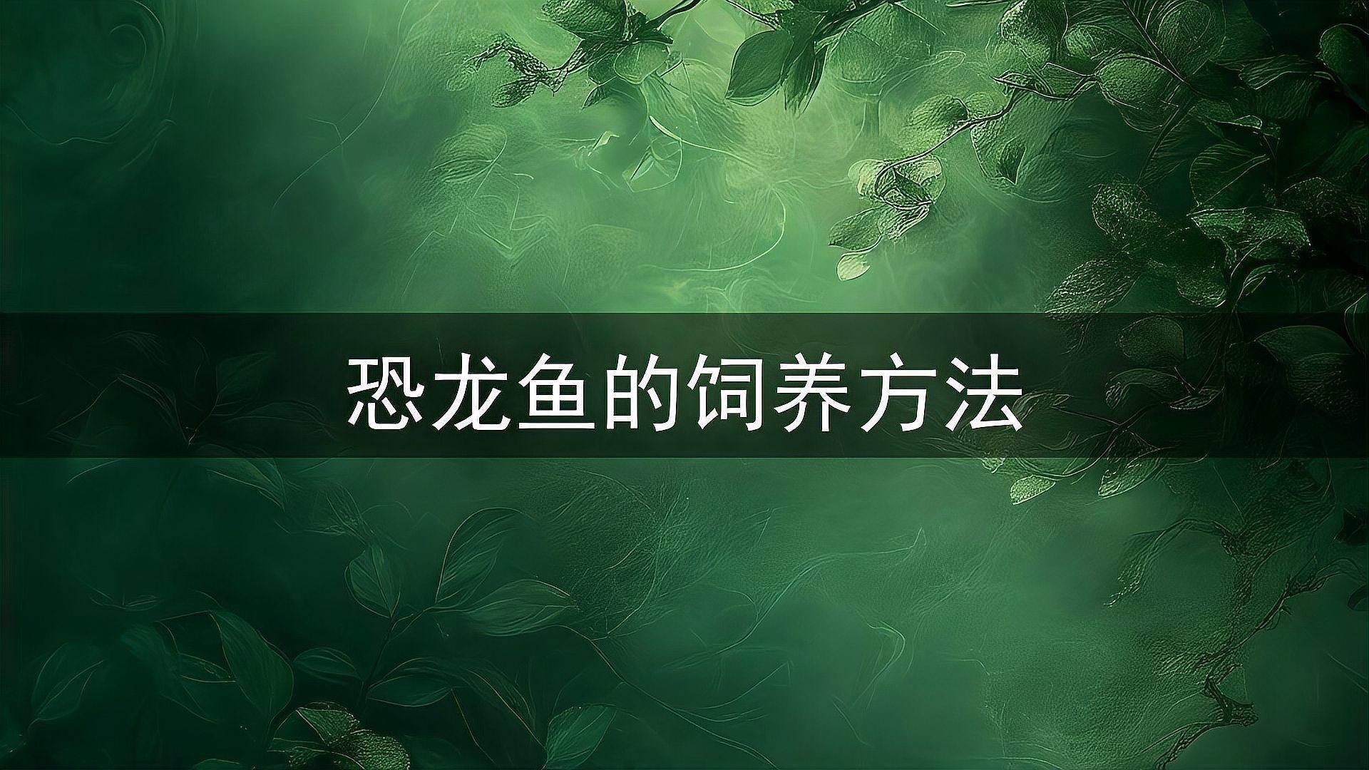 恐龍魚怎樣養才能活的久