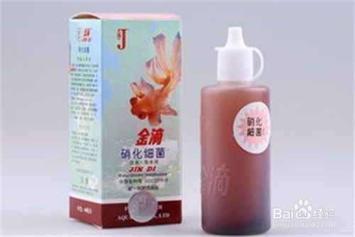 金龍魚喂食方法（金龍魚飼養環境要求）
