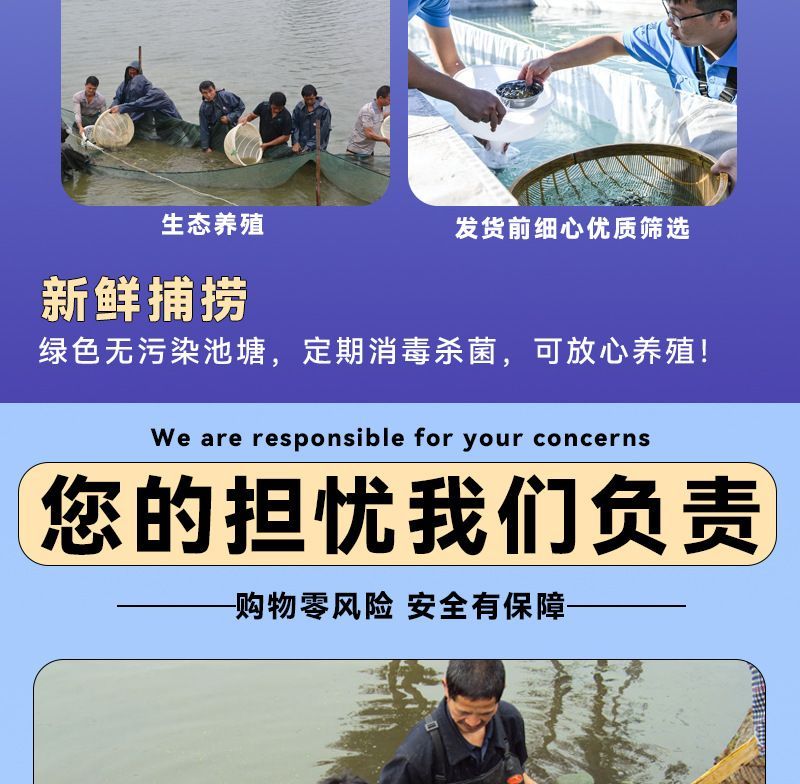 龍魚飼料魚怎么養活的：養殖龍魚飼料魚需要注意哪些問題