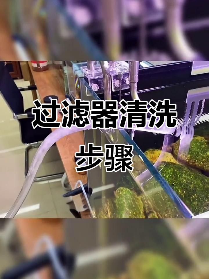 龍魚缸過濾系統多久清洗一次？