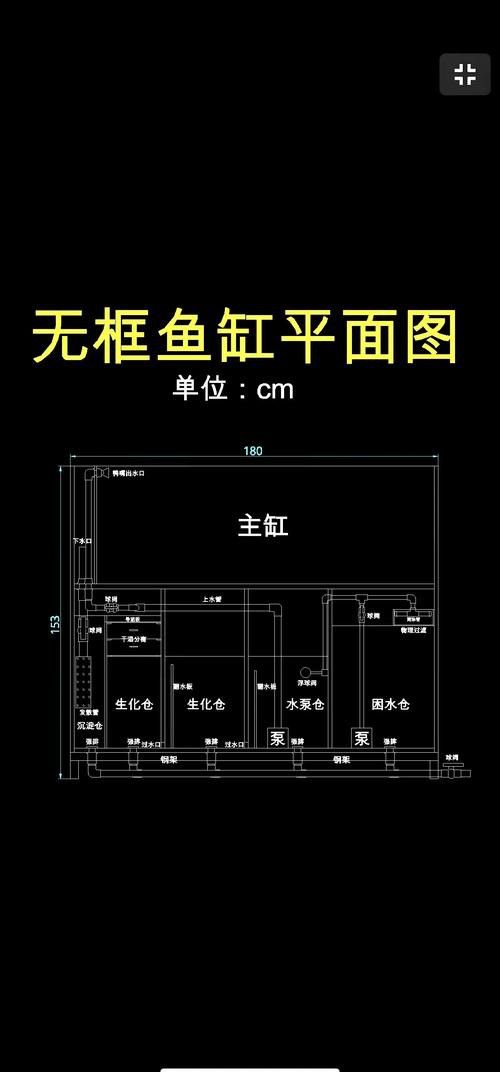 養(yǎng)銀龍魚需要什么設(shè)備呢