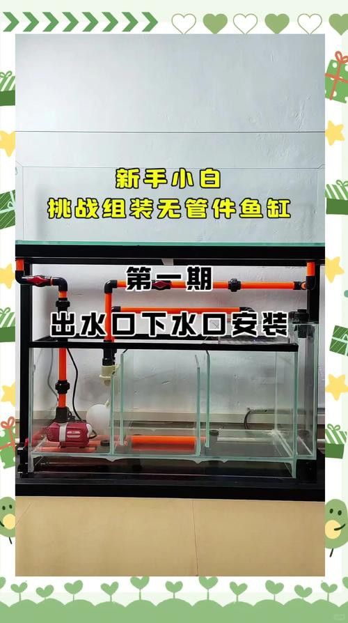 養(yǎng)銀龍魚需要什么設(shè)備呢
