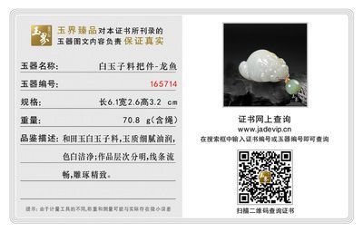 龍魚證書編號查詢：如何進行龍魚證書編號查詢