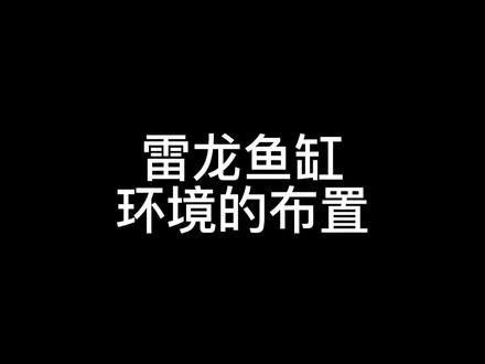 雷龍魚蹭沙子 雷龍魚蹭沙子 龍魚百科 第7張