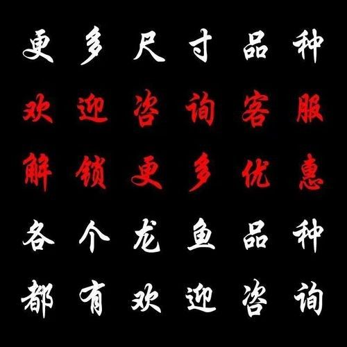 長(zhǎng)春龍魚價(jià)格行情走勢(shì)圖片