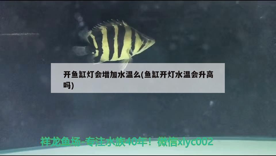 開魚缸燈會增加水溫么(魚缸開燈水溫會升高嗎)