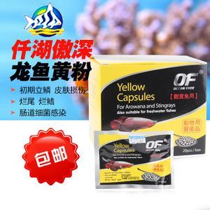 龍魚能不能用黃粉消毒（黃粉可以治療龍魚嗎？）