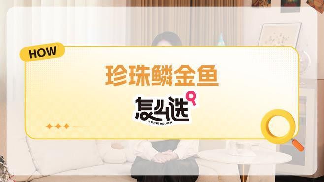 如何判斷金頭過背金龍的品相？