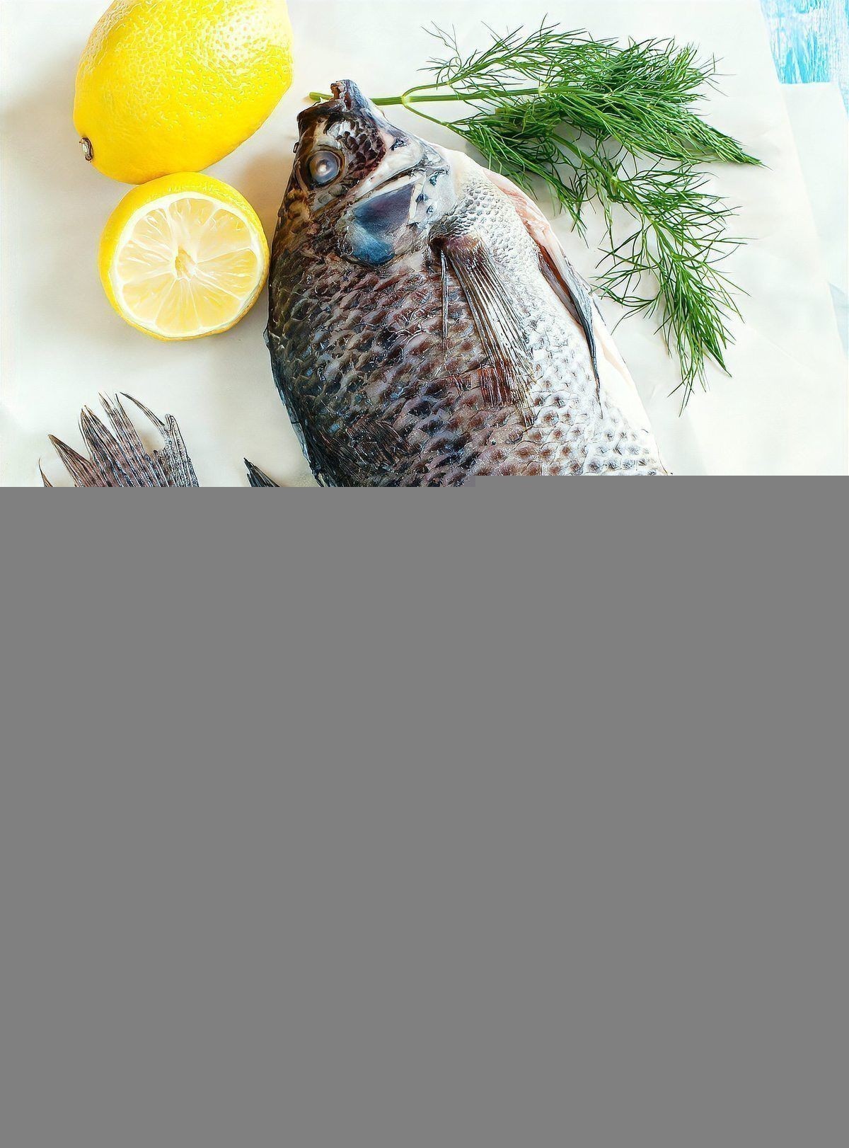 羅非魚養殖需要哪些設備？