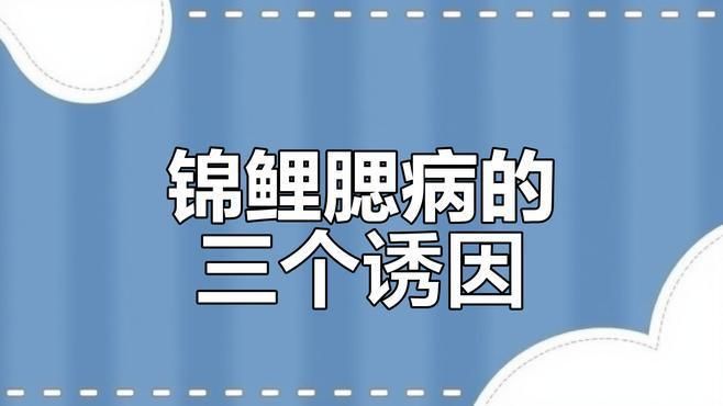 魚鰓爛了會傳染嗎？