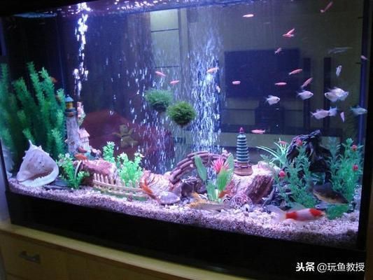 如何調(diào)節(jié)魚缸內(nèi)的光照強(qiáng)度（夏季魚缸光照管理技巧，冬季魚缸光照增強(qiáng)方法）