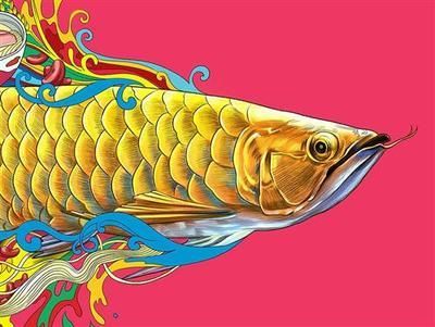 金龍魚貼吧：金龍魚貼吧是一個多元化的社區