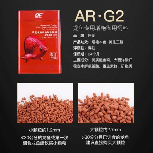 蘭州龍魚哪家好養殖的 蘭州龍魚哪家好養殖的 龍魚百科 第3張