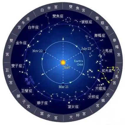 金龍魚代表什么象征意義