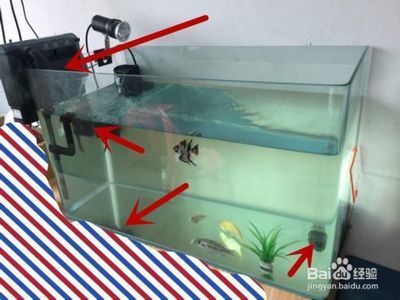 魚缸里過濾器怎樣安裝圖解