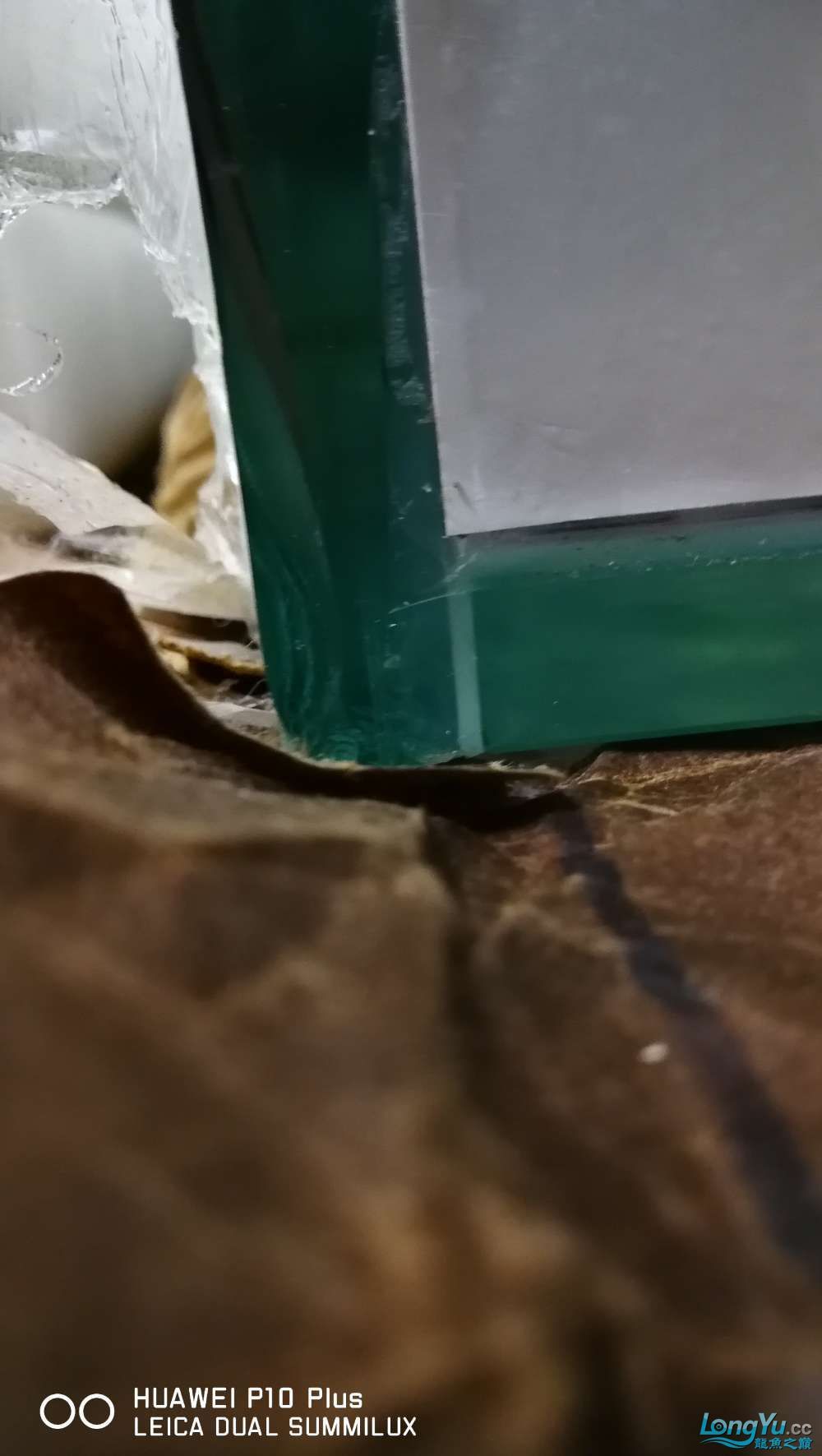 求管理不刪給廣大魚友提個醒