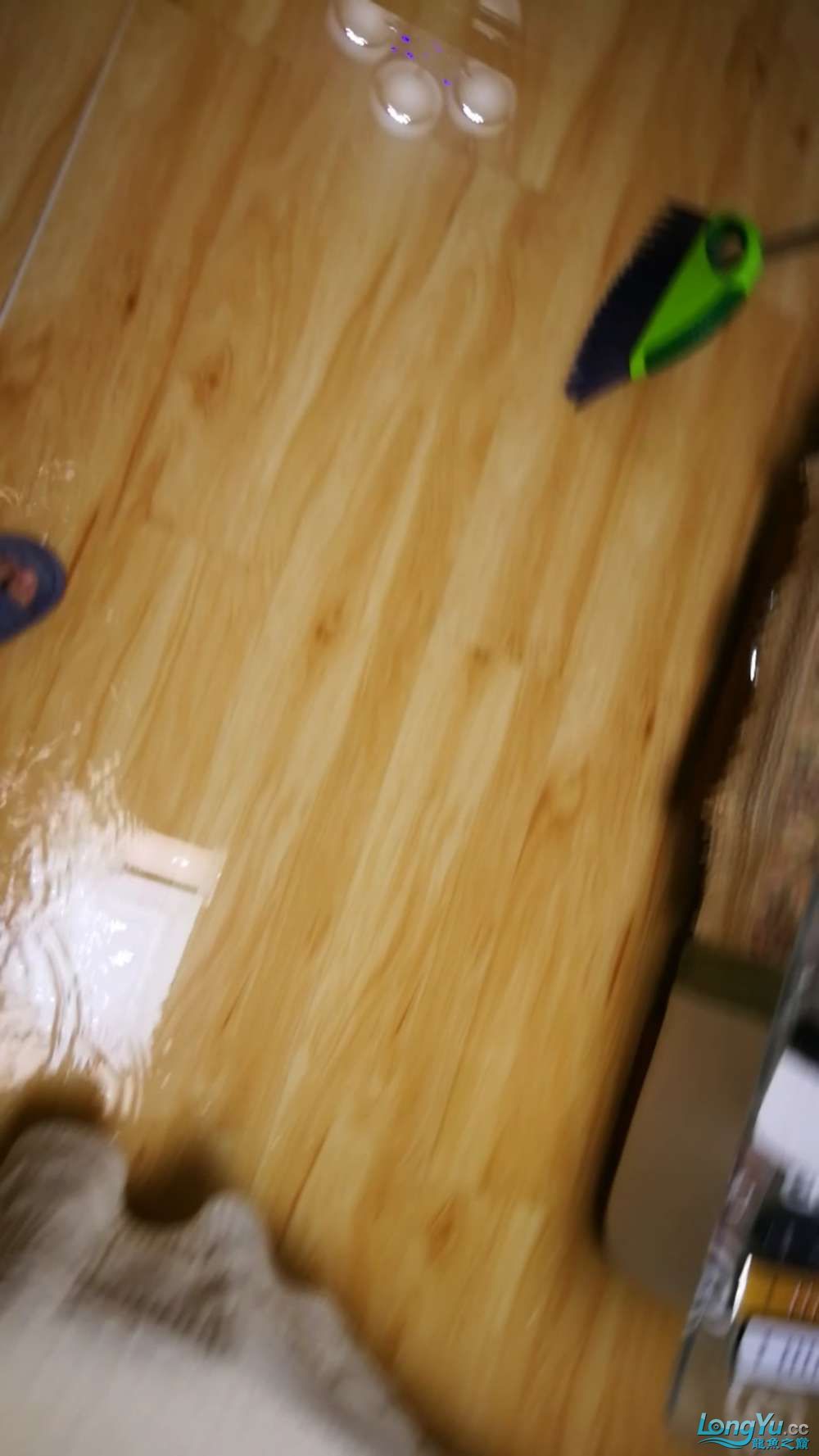 求管理不刪給廣大魚友提個醒
