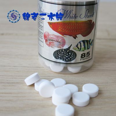 龍魚(yú)大白片定期檢疫：龍魚(yú)大白片定期檢疫時(shí)需要注意以下幾點(diǎn)，保障龍魚(yú)健康