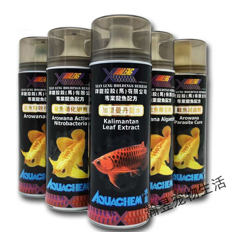 治療龍魚掉眼需要多長時間完成：龍魚腸炎怎么治療 治療龍魚掉眼需要多長時間完成：龍魚腸炎怎么治療 龍魚百科 第2張