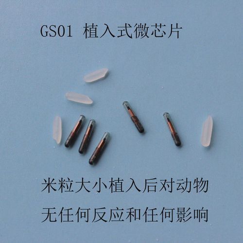 龍魚芯片圖片 龍魚芯片圖片 龍魚百科 第4張