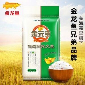 紅龍魚為什么會有金頭魚呢（紅龍魚為什么會有金頭魚呢圖片）