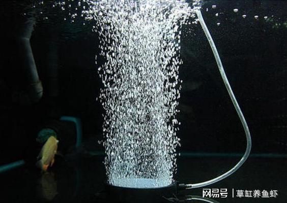 龍魚(yú)缸增氧泵需要一直開(kāi)嗎視頻：龍魚(yú)缸增氧泵是否需要24小時(shí)開(kāi)啟 龍魚(yú)缸增氧泵需要一直開(kāi)嗎視頻：龍魚(yú)缸增氧泵是否需要24小時(shí)開(kāi)啟 龍魚(yú)百科 第5張