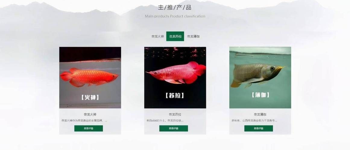龍魚芯片證書如何查詢？