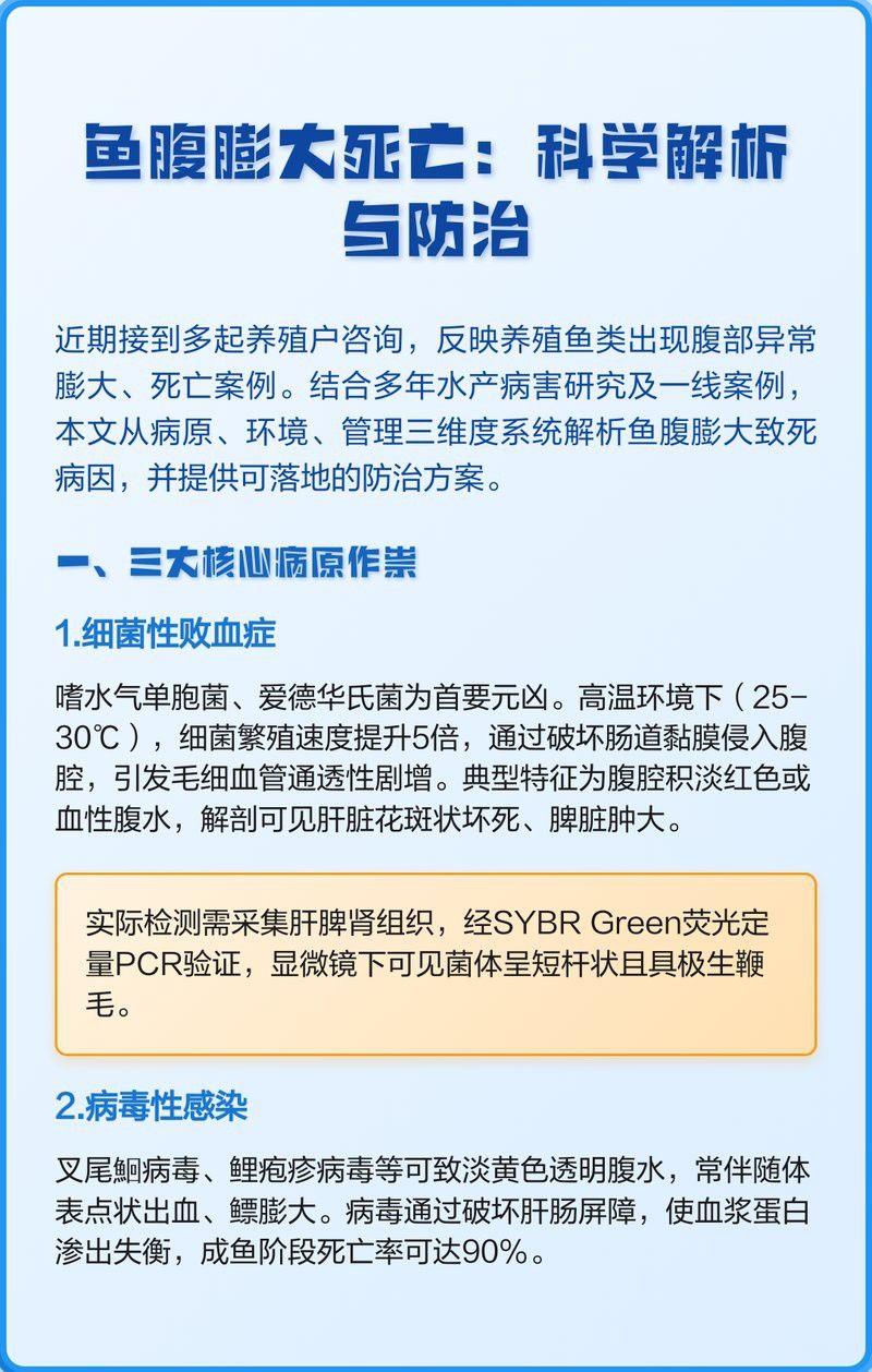 龍魚腹水病多久會(huì)死