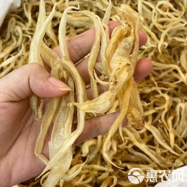 金龍魚膠1300一斤貴嗎