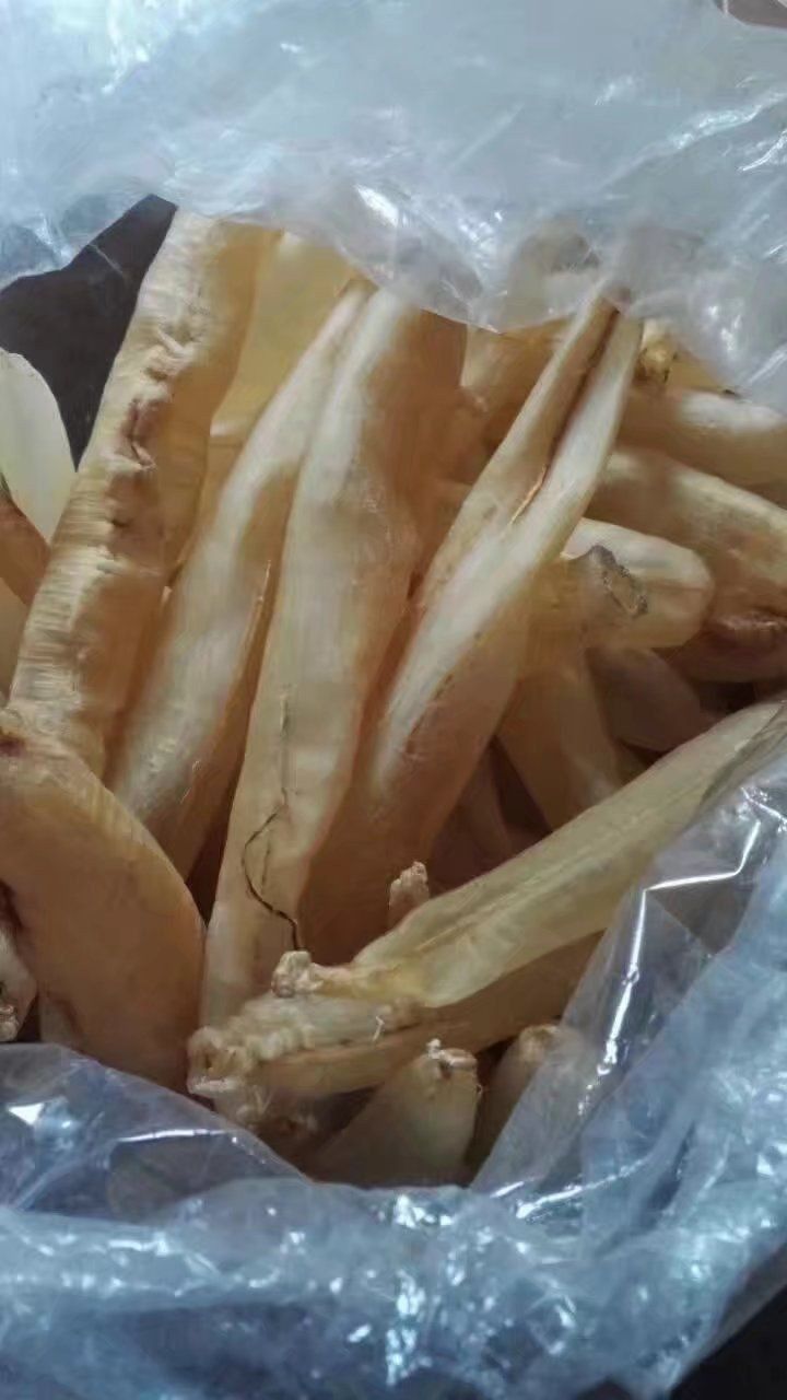 金龍魚膠1300一斤貴嗎