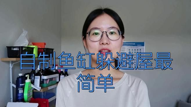 如何設(shè)置魚缸躲避物？